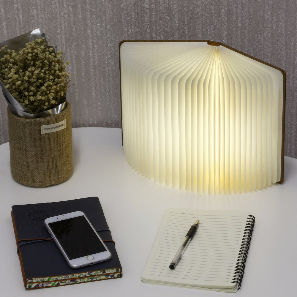 The Amazing Book Lamp