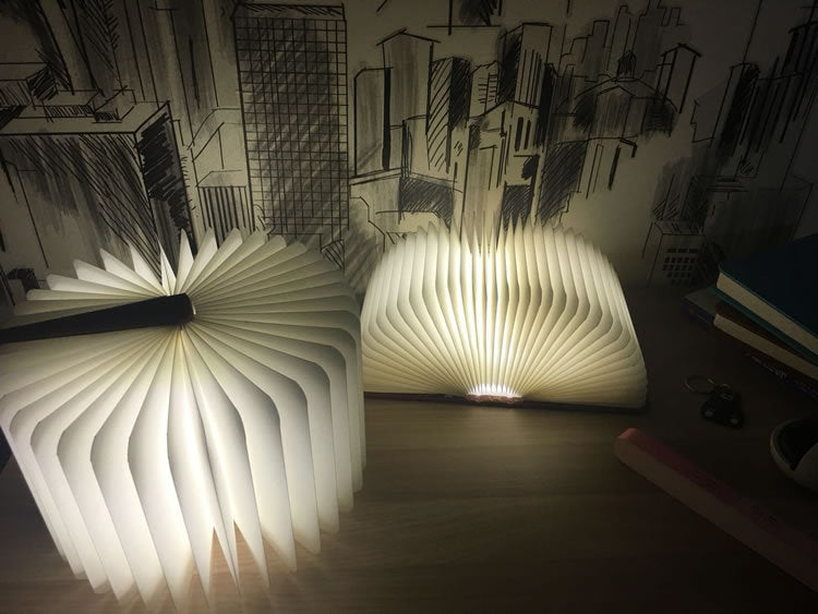 The Amazing Book Lamp