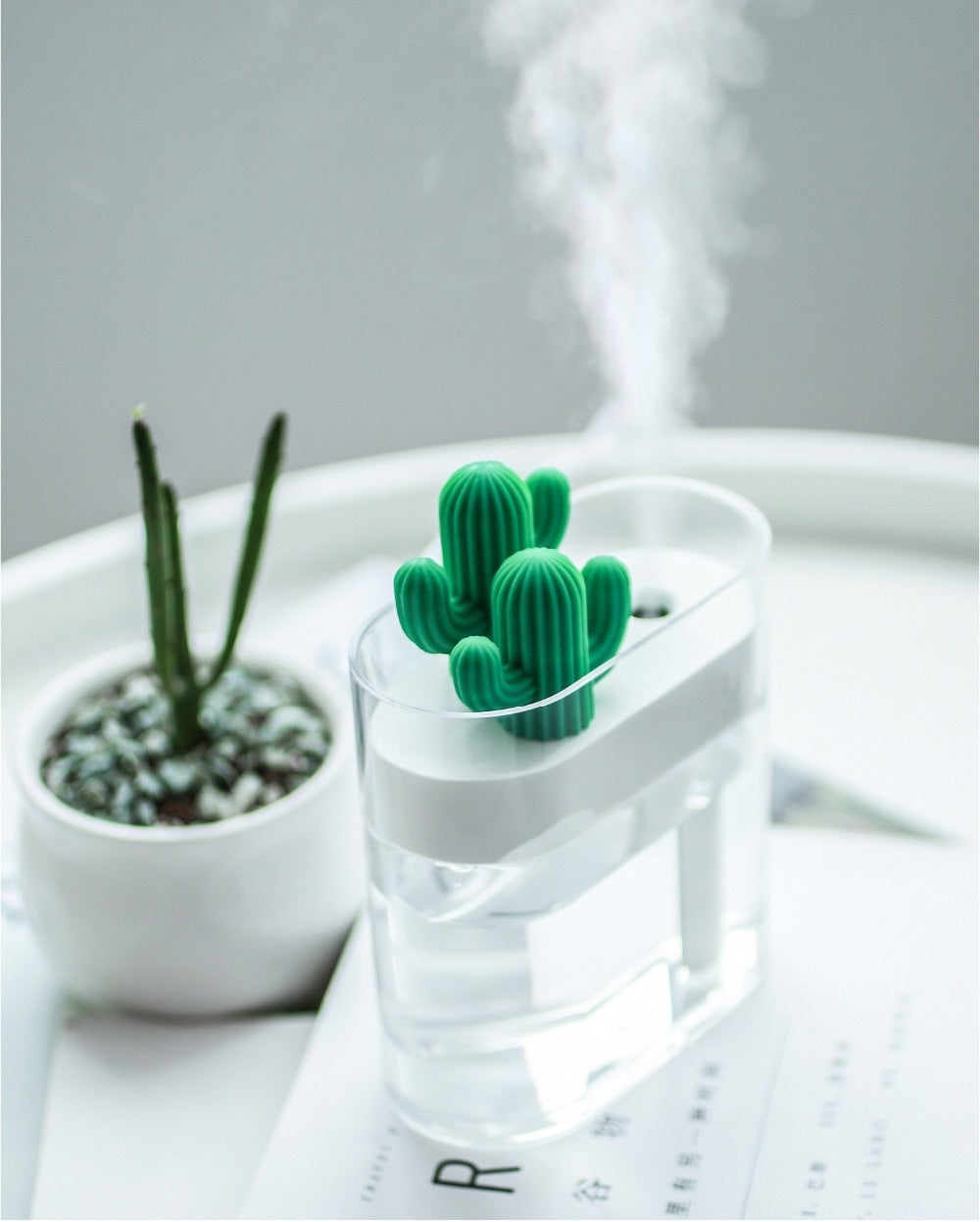 Air Humidifier and Diffuser with modern cactus design and LED Lighting