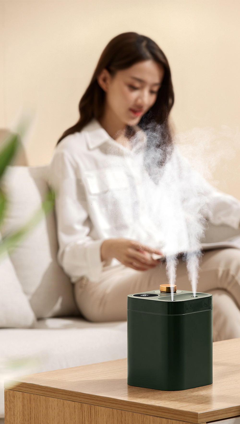 Rechargable Wireless Diffuser & Humidifier